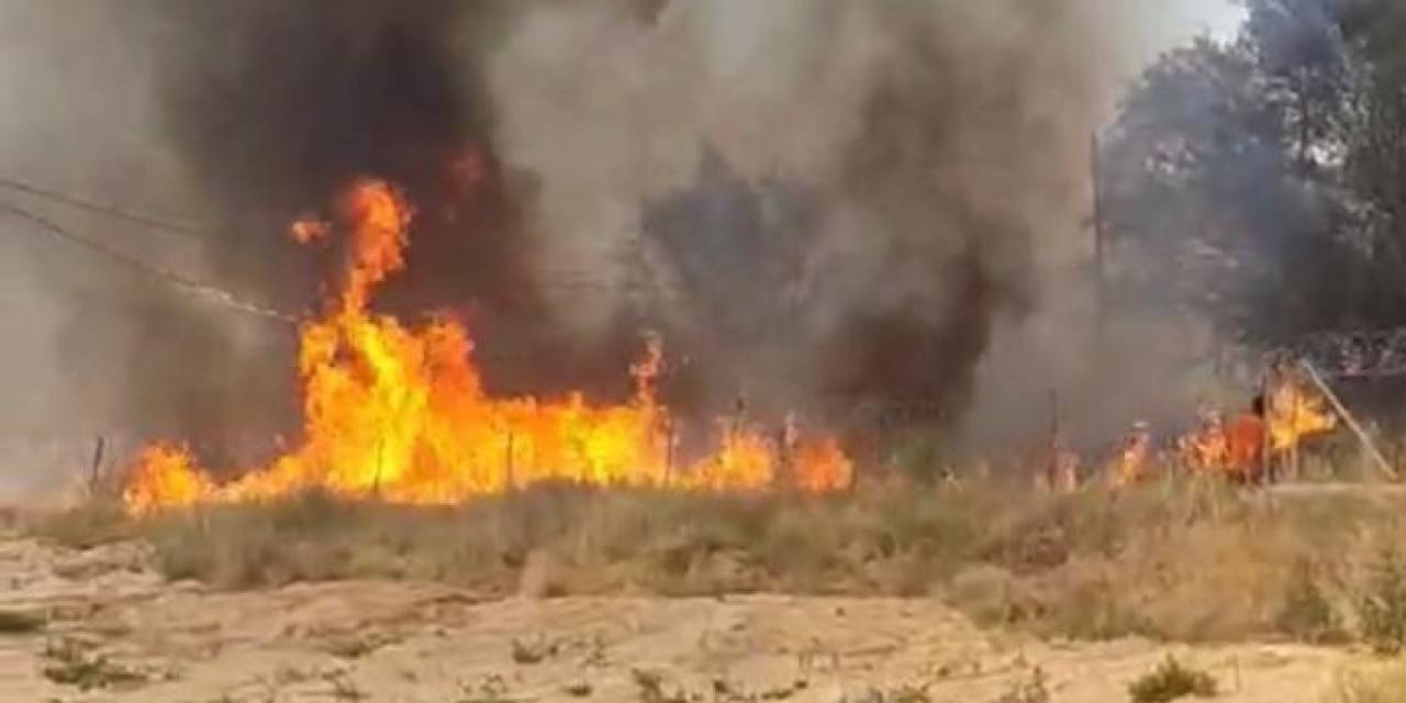 Isparta’da Sazlık Alanda Yangın