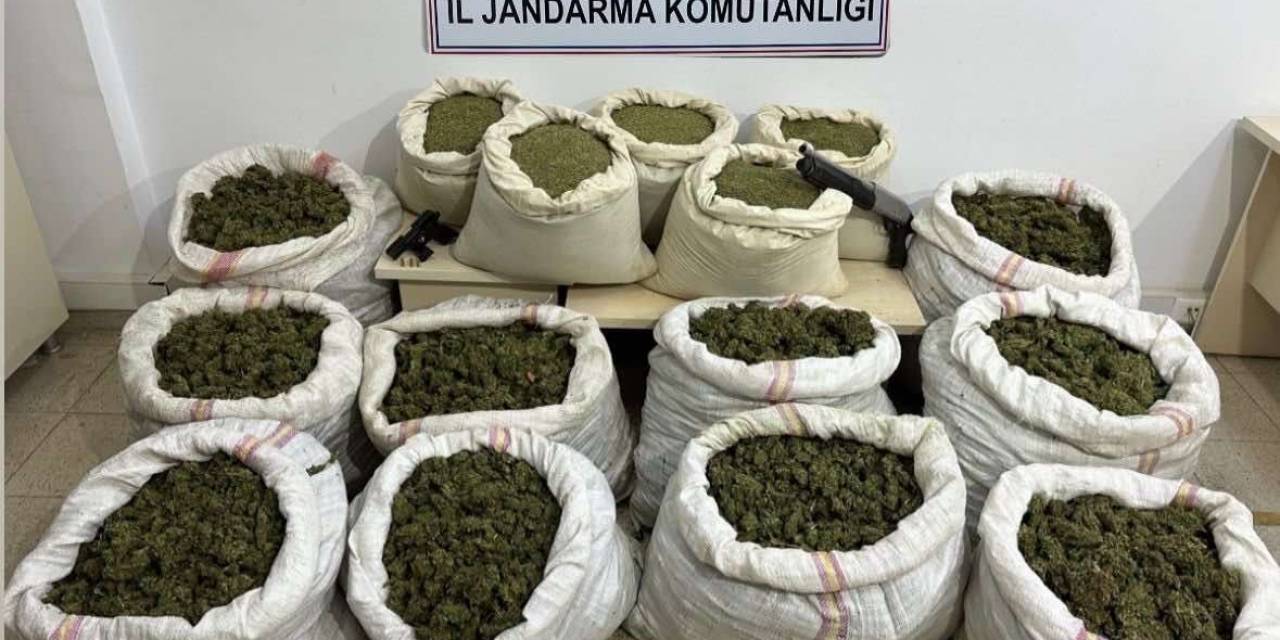 Bingöl’de 11 Milyon Kök Kenevir Ve 163 Kilo Toz Esrar Ele Geçirildi