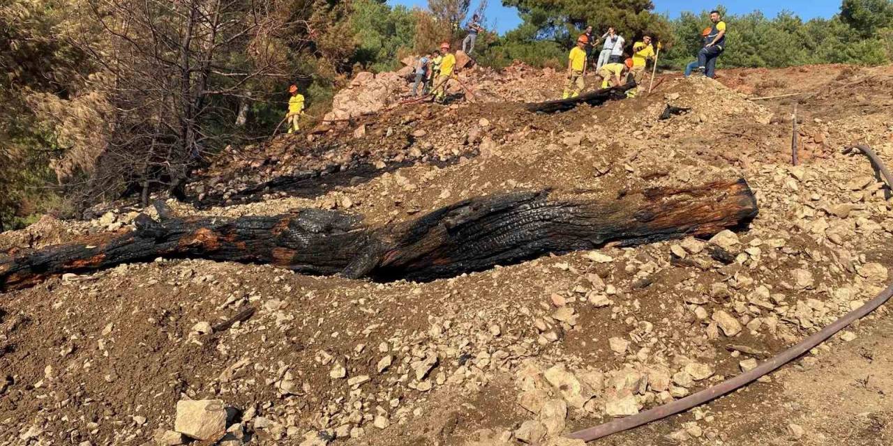 Balıkesir’de Orman Yangını Söndürüldü