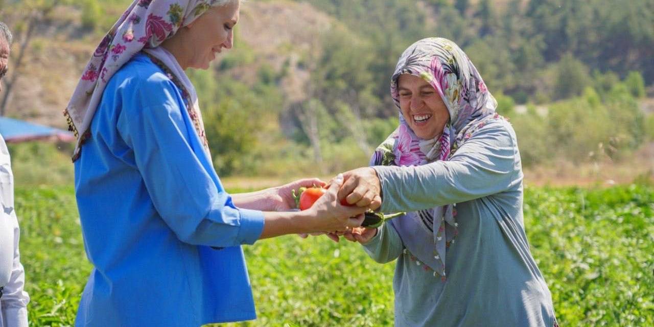 Toprakla Buluşan 180 Bin Fide İlk Ürünlerini Verdi