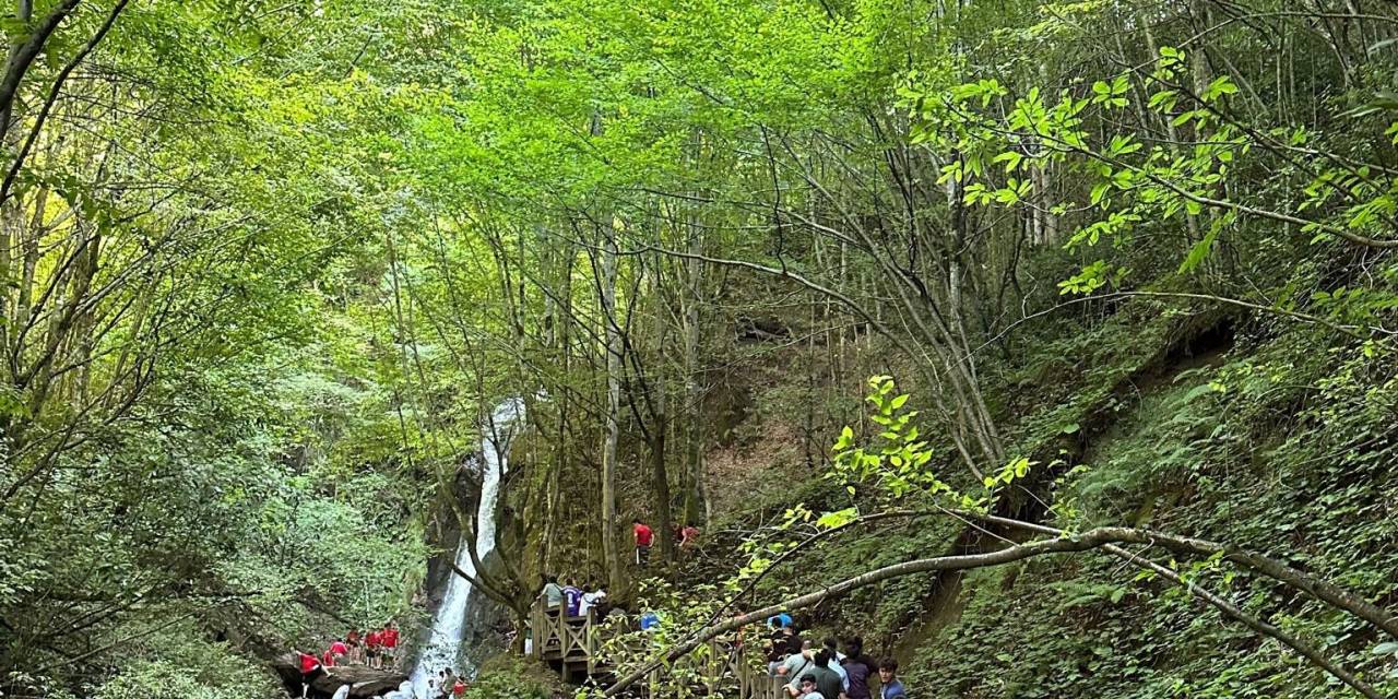 Güreş İçin Geldiler Kültür Turu Yaptılar