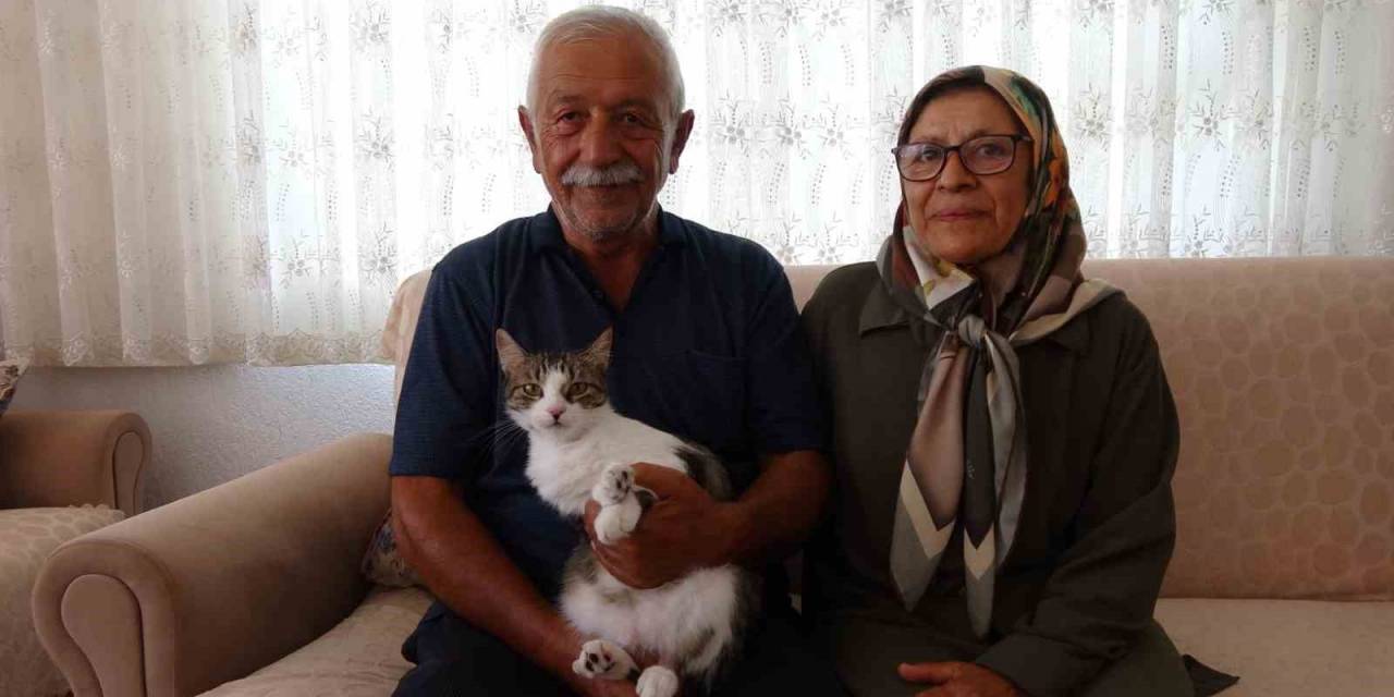 Depremde Kaybettikleri Kedilerini Geri Dönüp 5 Ay Sonra Buldular