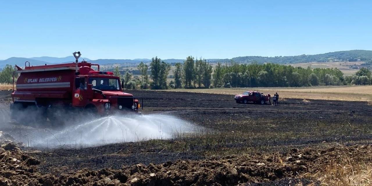 Buğday Tarlasındaki Yangında 20 Dönüm Alan Zarar Gördü
