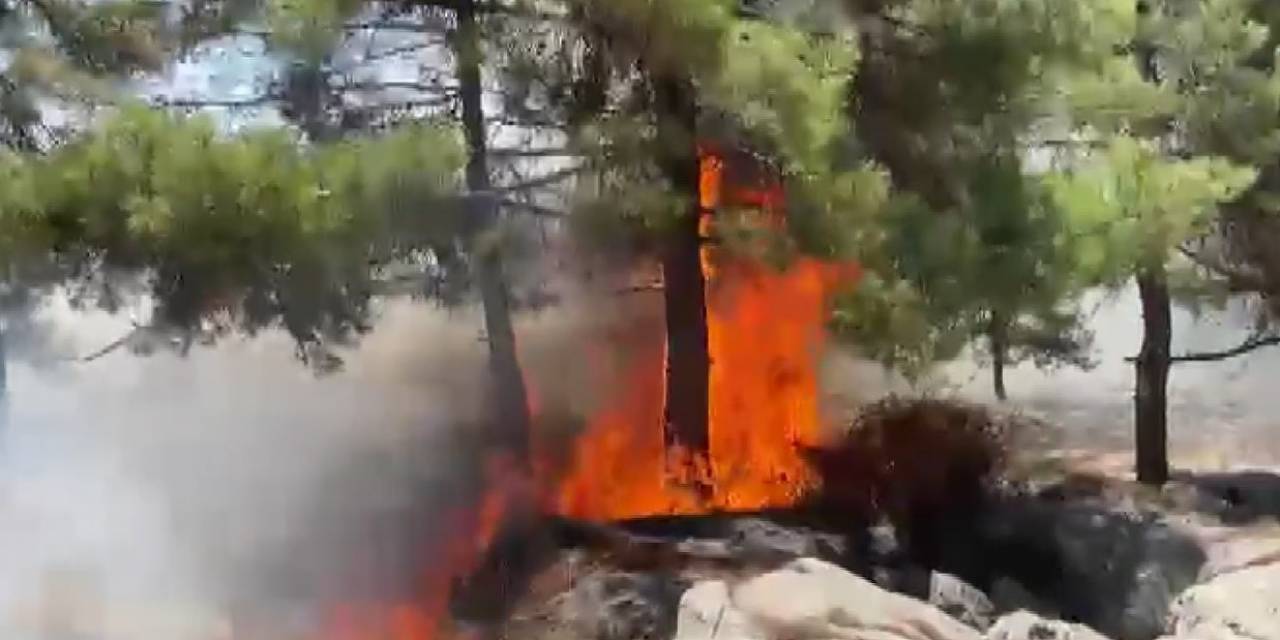 Adıyaman’da Orman Yangını