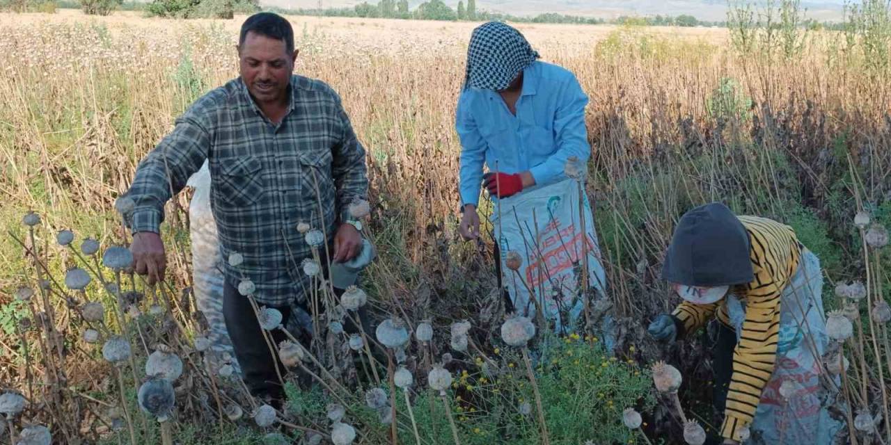 Memleketten Uzakta 460 Tl Yevmiye İle Çalışıyorlar