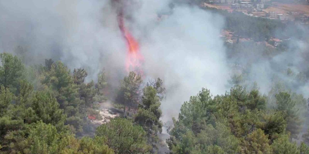 Adıyaman’daki Orman Yangını Havadan Görüntülendi