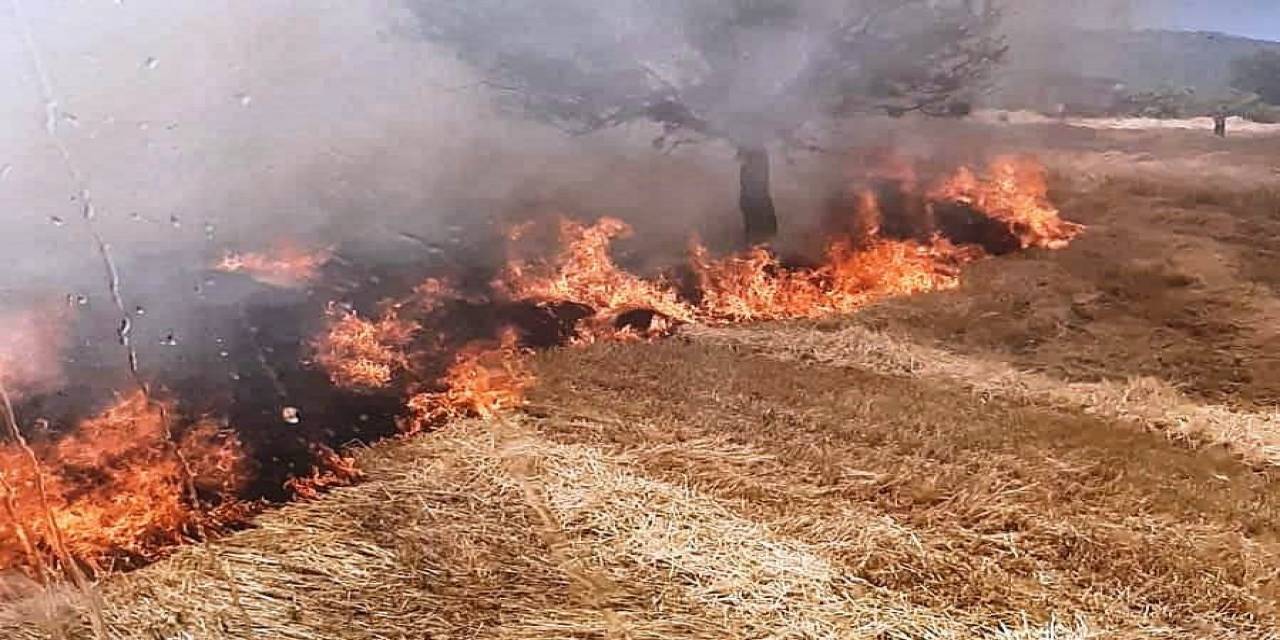 Gediz’de Tarla Yangını