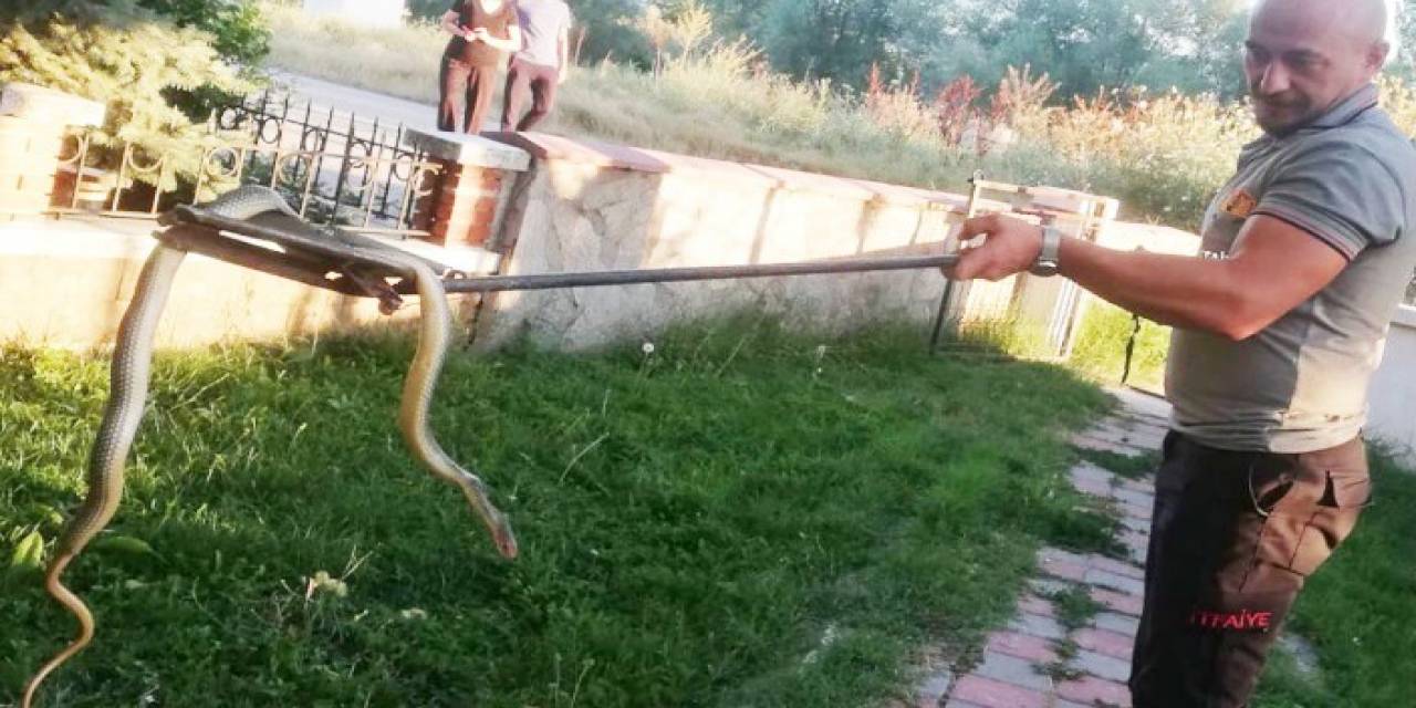 Tavşanlı’da Araç Motoruna Giren Yılan, İtfaiye Erleri Tarafından Çıkartıldı
