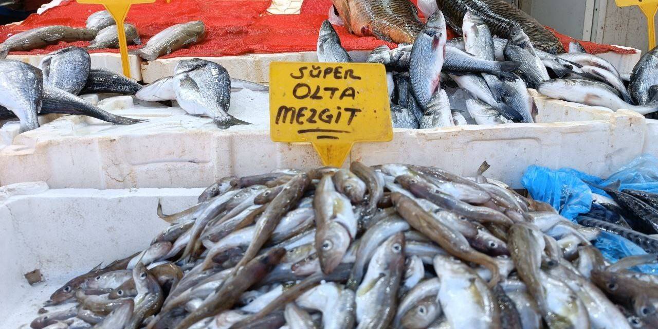 Olta Mezgitleri Tezgahlardaki Yerini Aldı