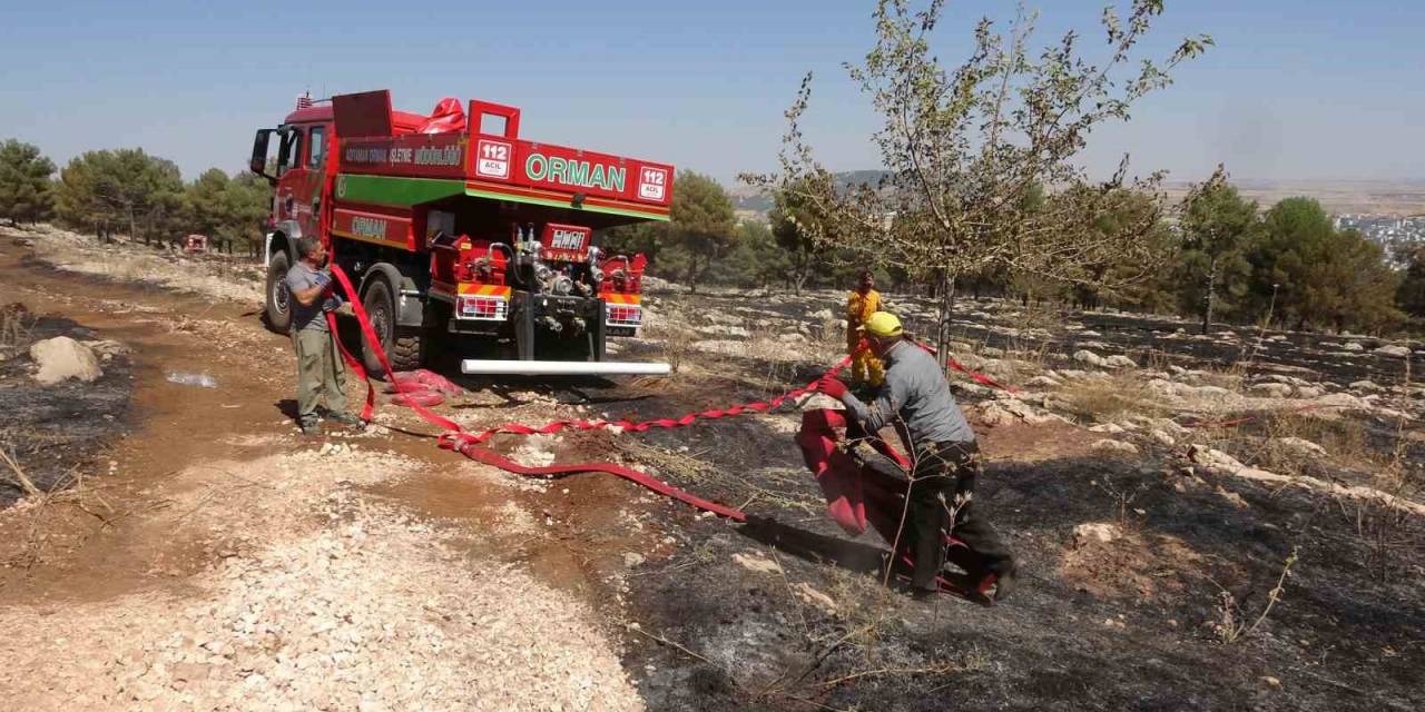 Adıyaman’daki Orman Yangını Söndürüldü