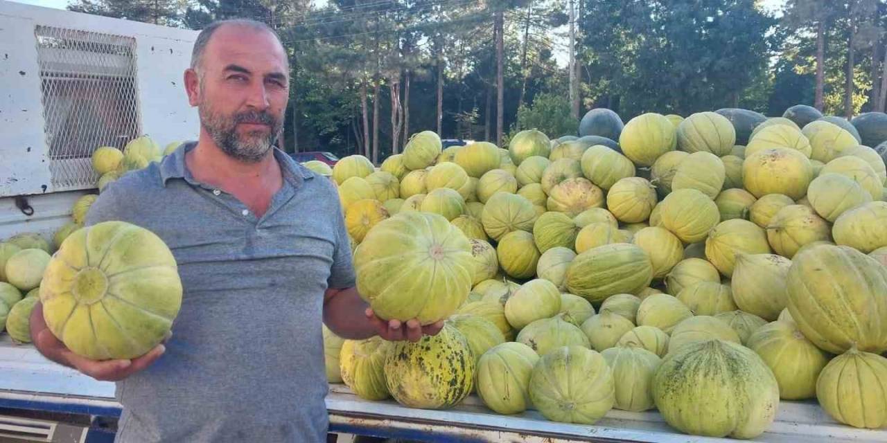 Çorum’un Meşhur ’10 Dilim Kavunu’ Tezgahlarda Yerini Aldı