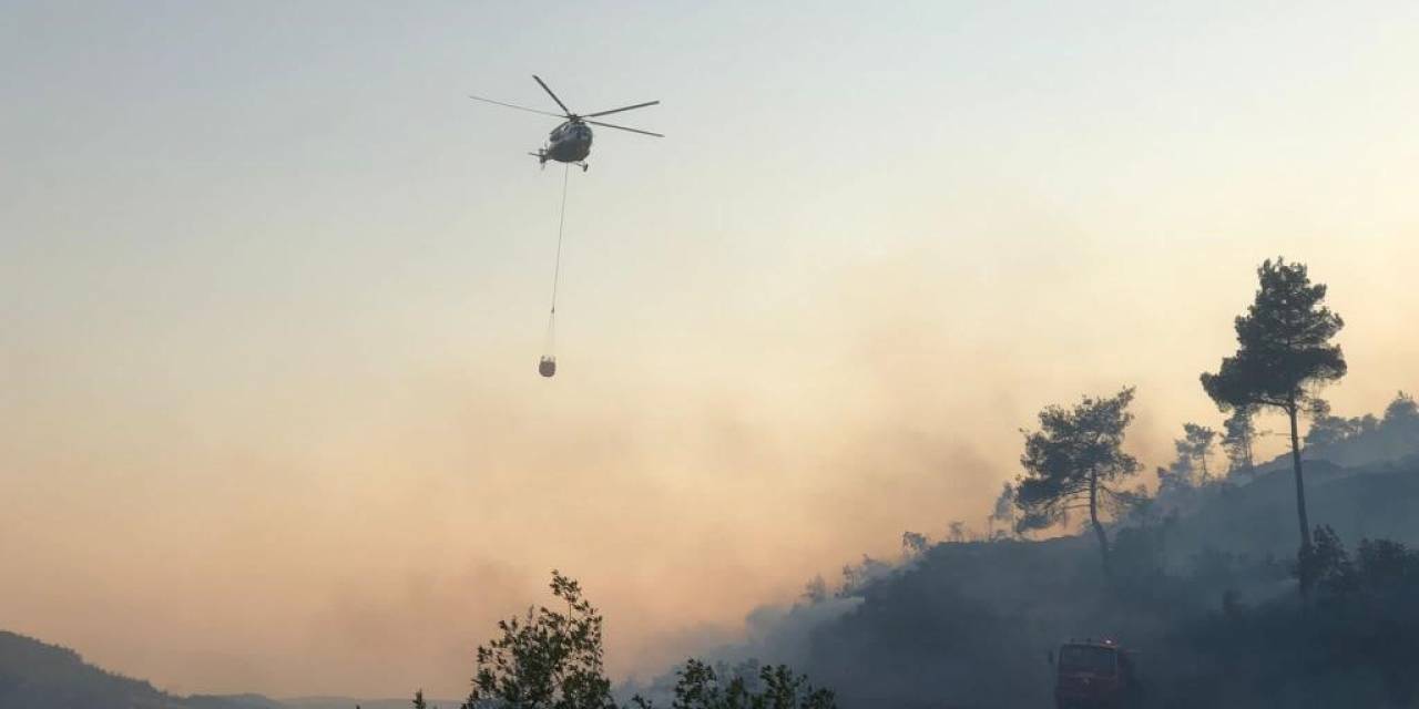 Bilecik’te Korkutan Orman Yangını
