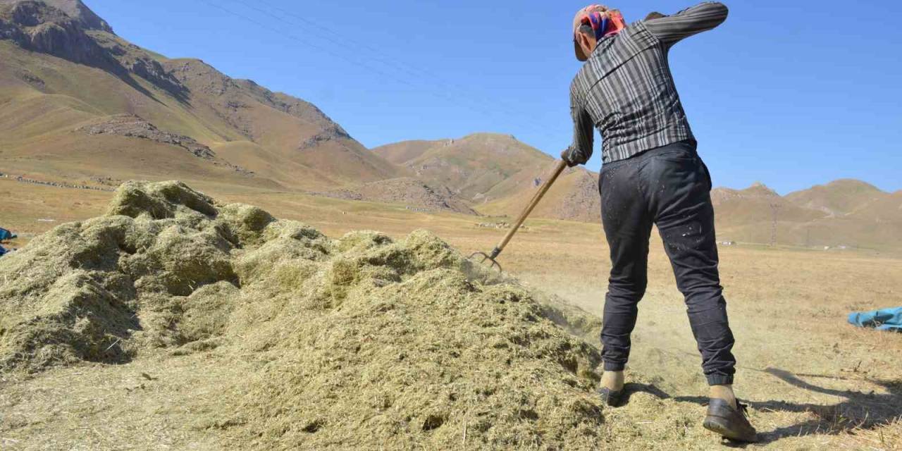 Faraşin Yaylası’nda Besicilerin Zorlu Kış Hazırlıkları Devam Ediyor