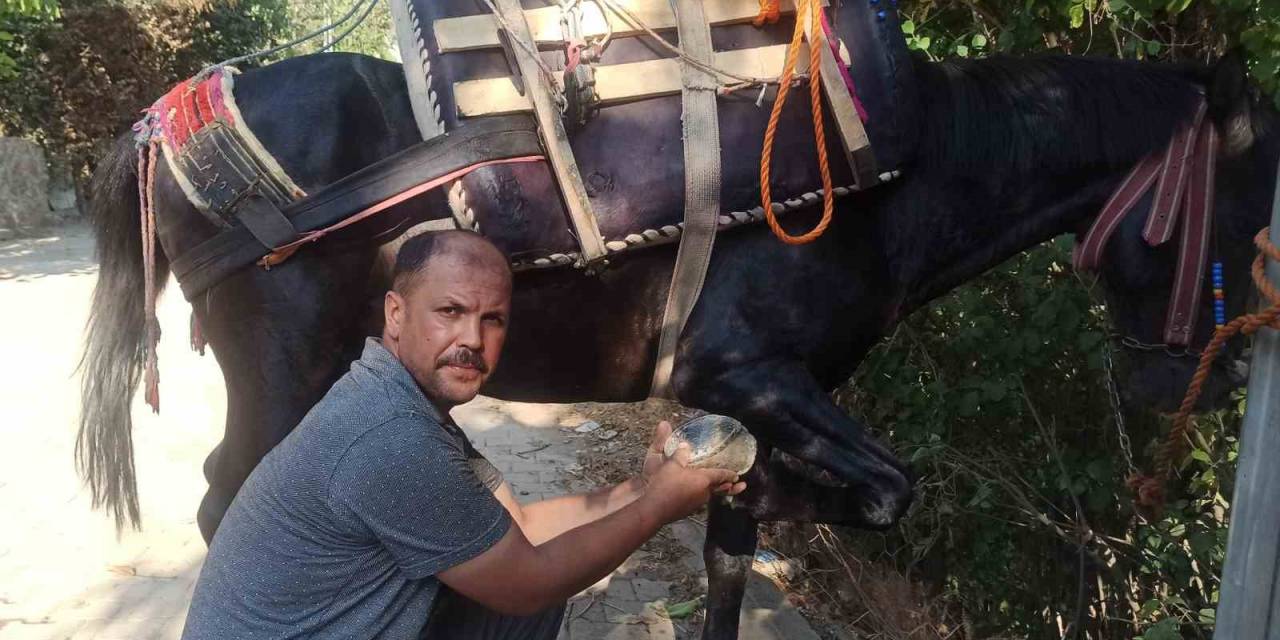 Baba Mesleği Olan Nalbantlığı Yaşatmaya Çalışıyor