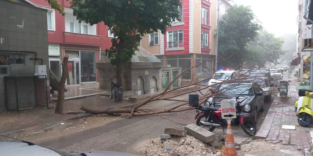 Sağanak Yağış Yolları Göle Çevirdi, Ağaçları Devirdi