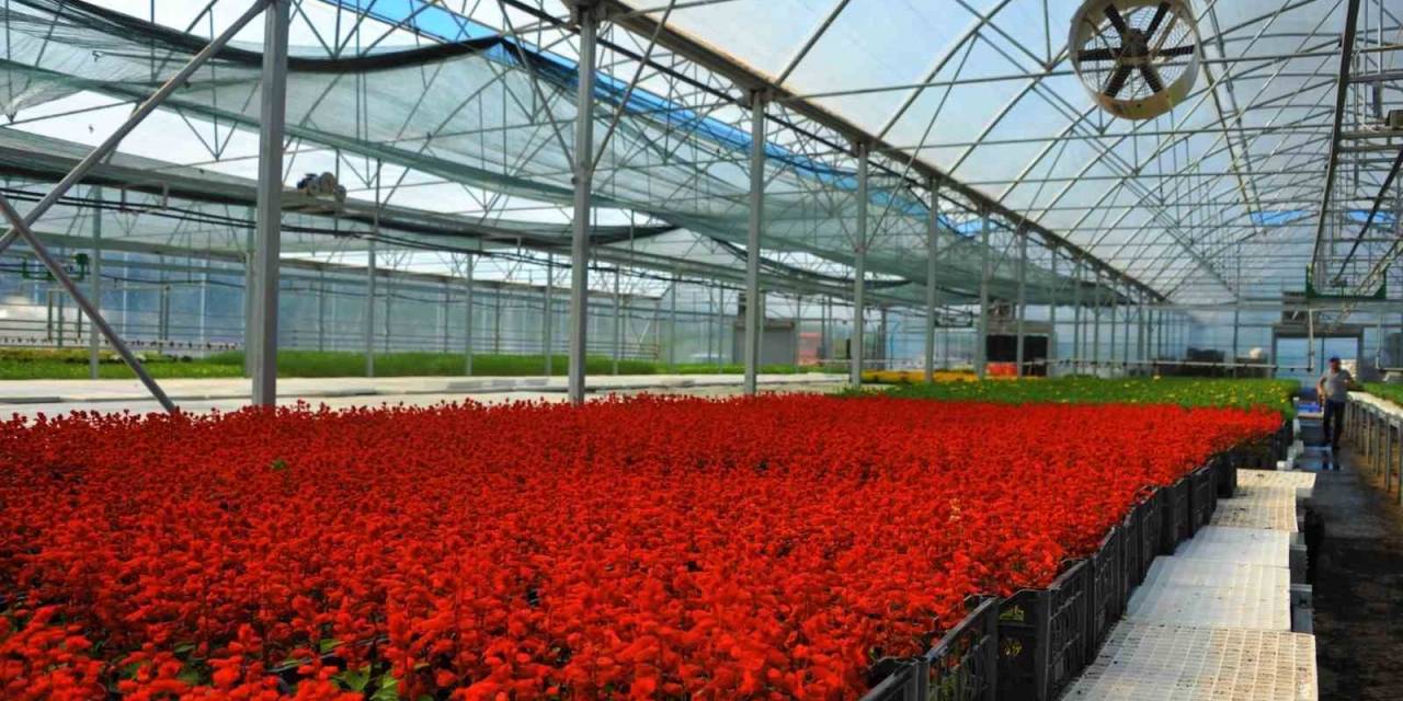 Çöpten Elde Edilen Elektrikle Çiçek Üretiliyor