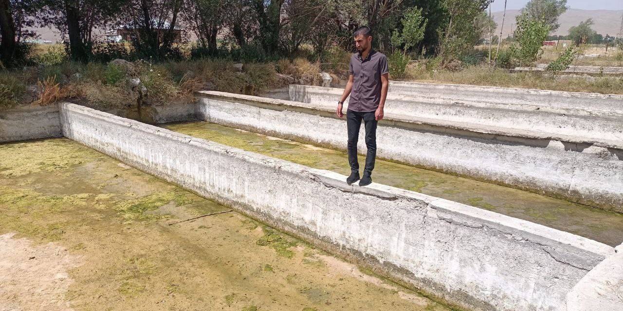 Gürpınar’daki Tesiste Binlerce Balık Telef Oldu