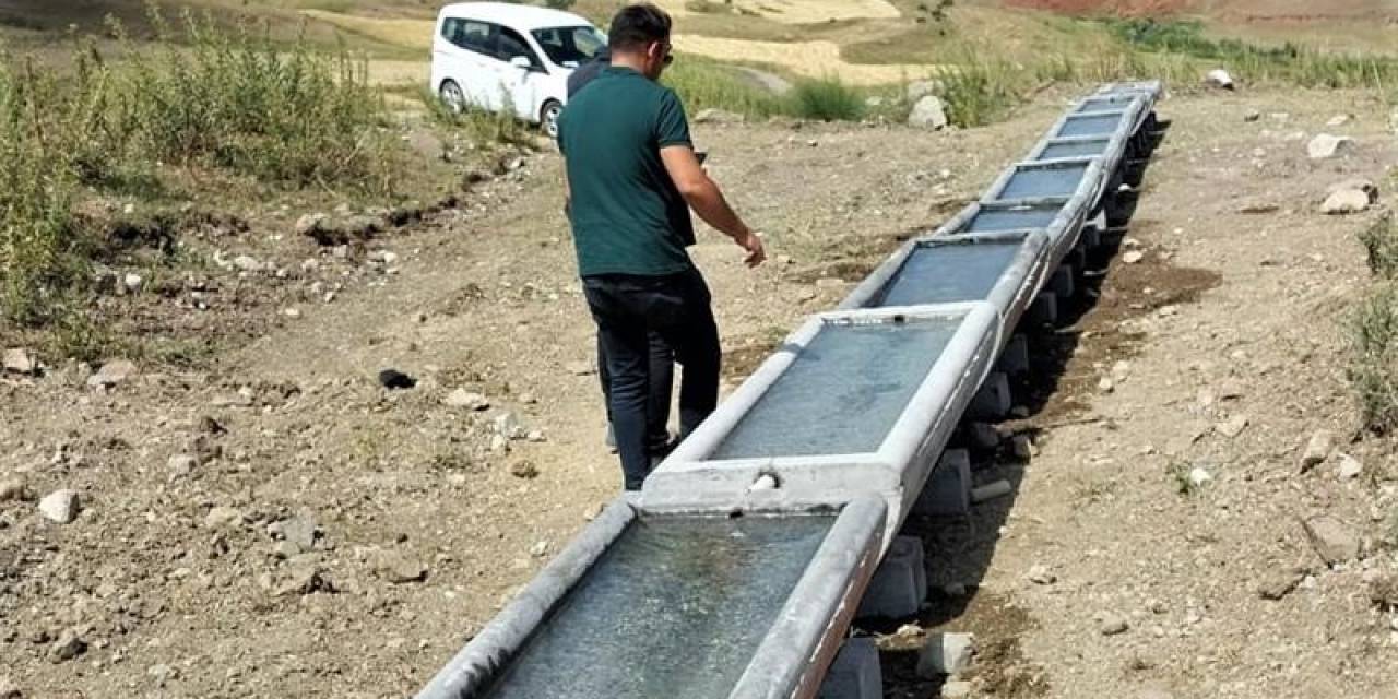 Iğdır’da Mera Islah Ve Amenajman Projesi