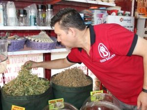 Ihlamur İçmek Lüks Oldu