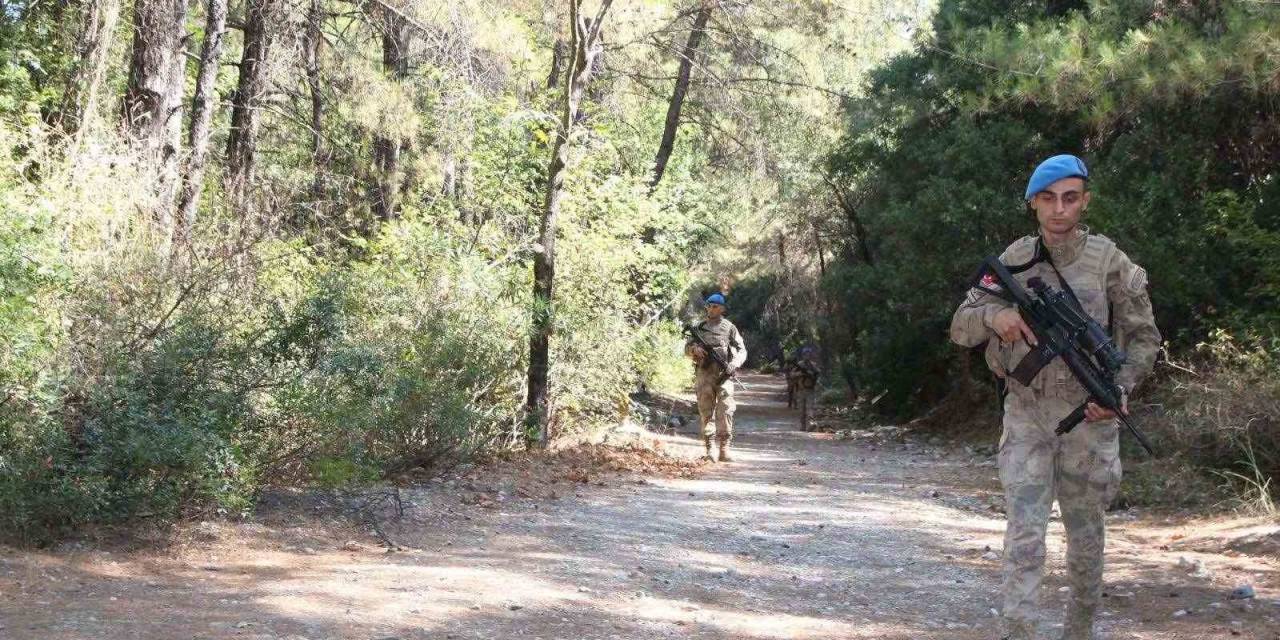 Ormanlık Alanlar Havadan Ve Karadan Denetlendi