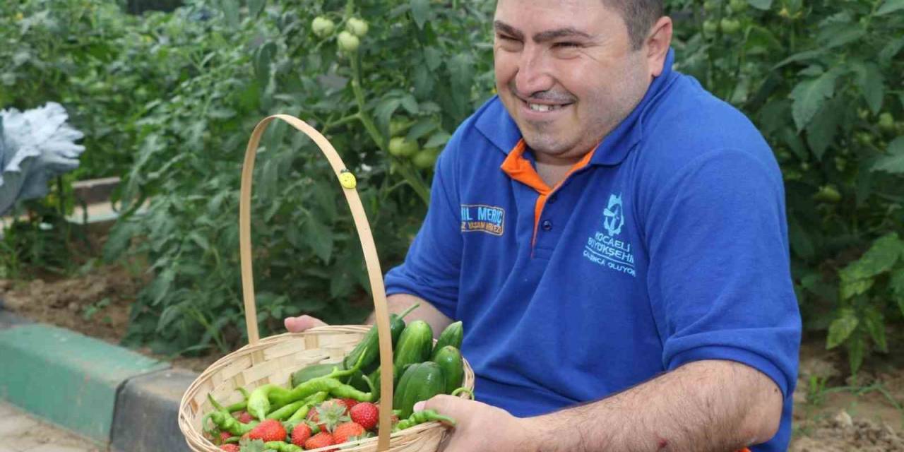 Cemil Meriç’te Yaşam Ve Doğa Dersi