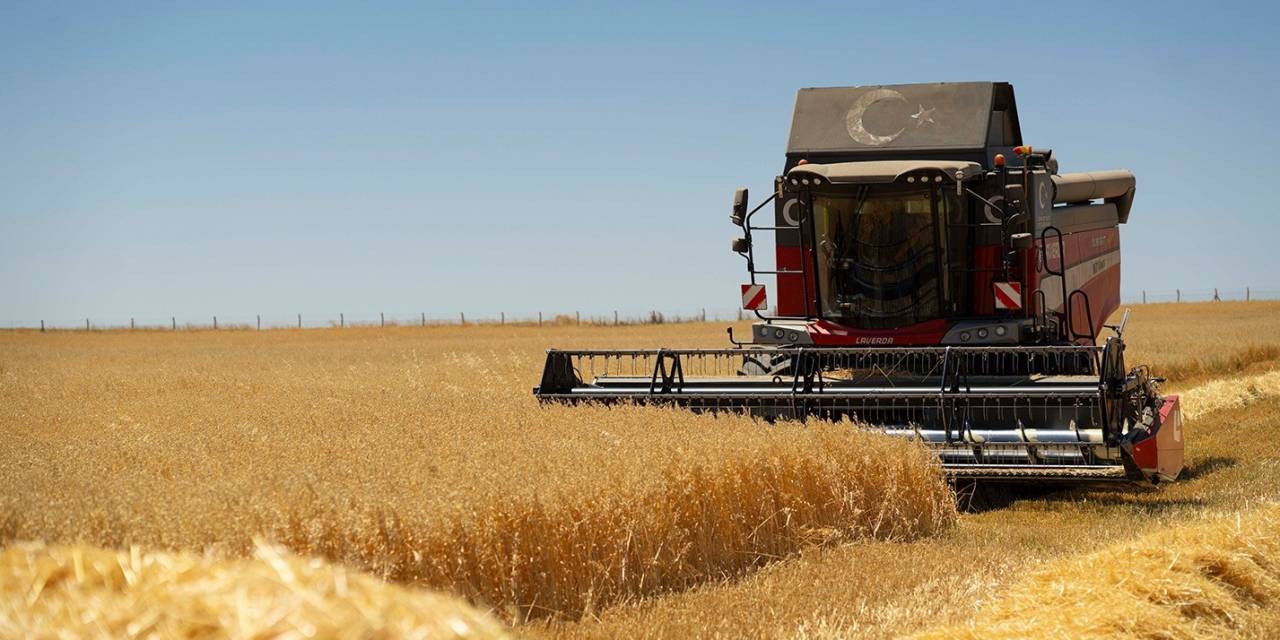 Yerli Üreticiye Global Destek