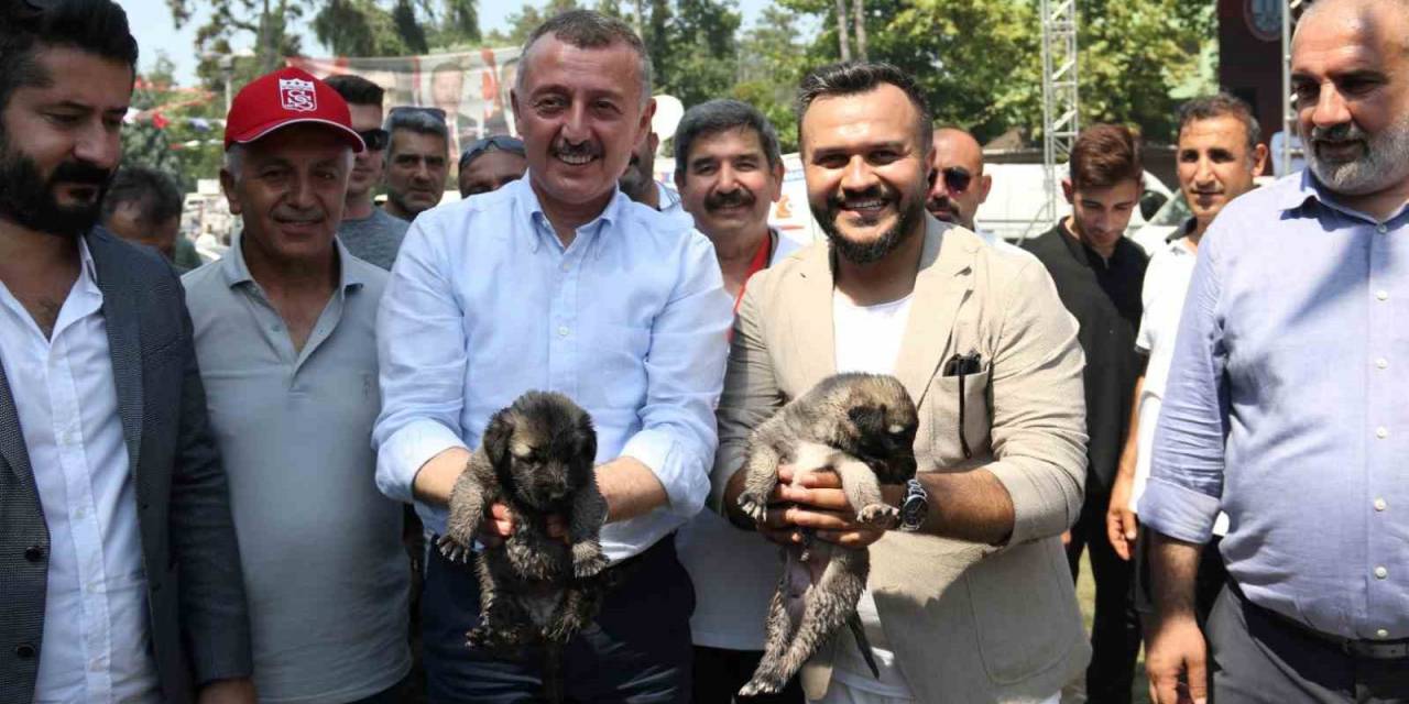 Sivas 2. Gardaşlık Buluşmasına Büyük İlgi