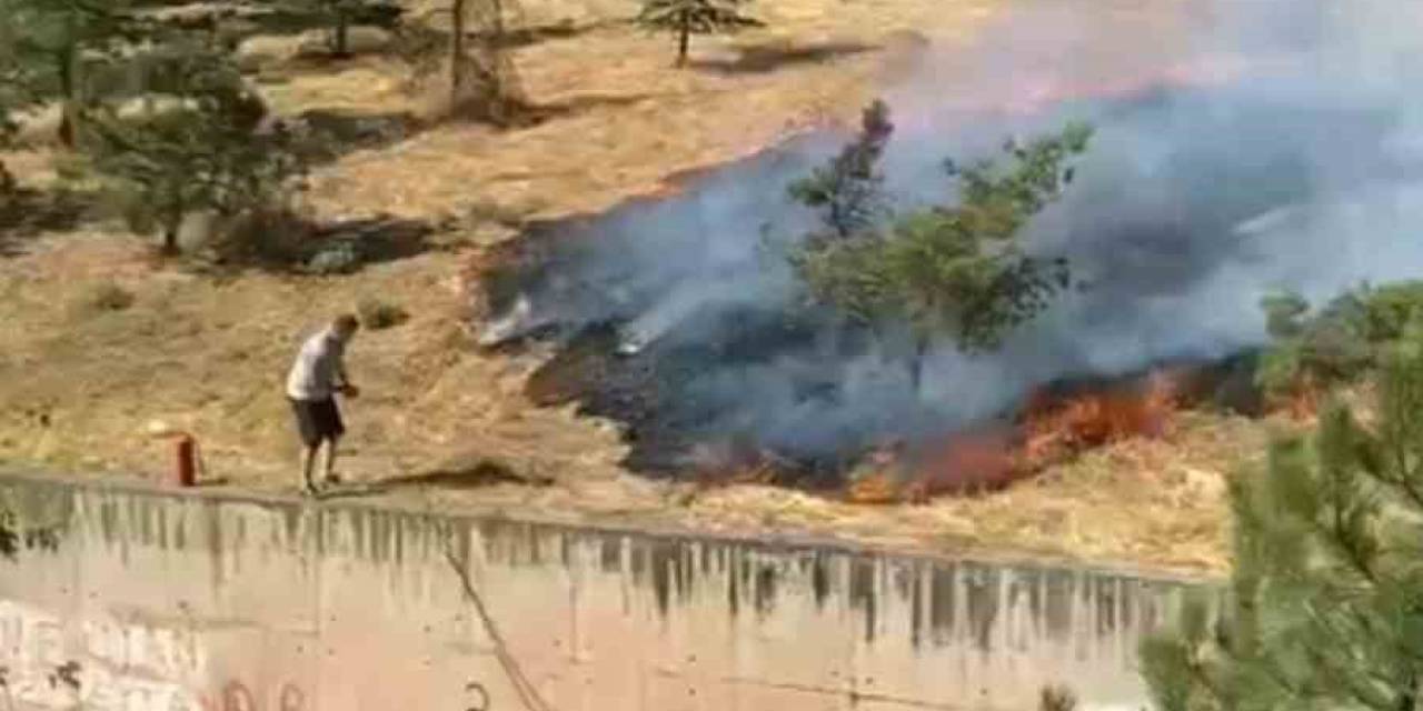 Çamlık Arazide Çıkan Yangına İlk Müdahaleyi Vatandaş Hortumla Yaptı
