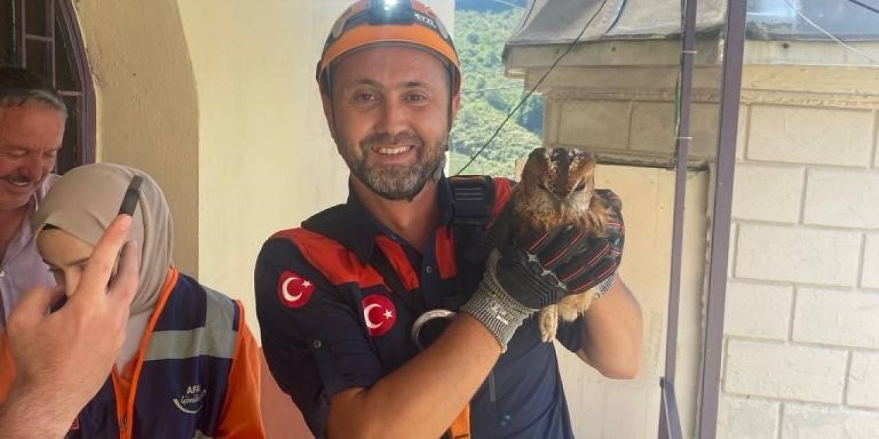 Giresun’da Minarede Mahsur Kalan Baykuş Kurtarıldı
