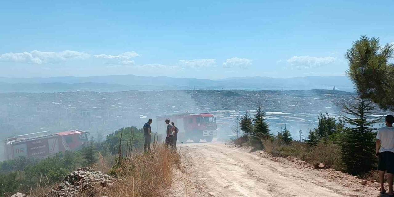 Kocaeli’de Ağaçlık Alanda Çıkan Yangında Kundaklama İddiası