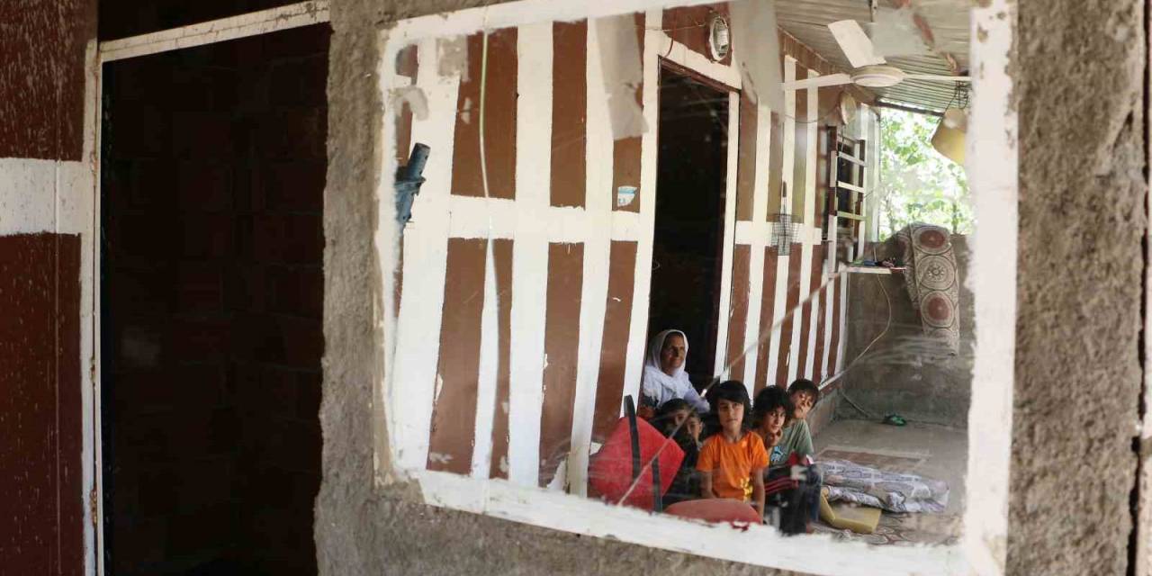 Sur Olaylarından Kaçtı, 4 Yıldır Torunlarıyla Tır Dorsesinde Yaşıyor