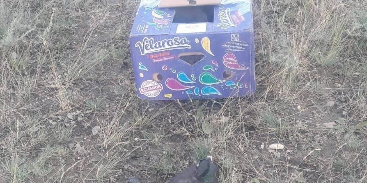 Kaçak Avcılara Geçit Verilmedi