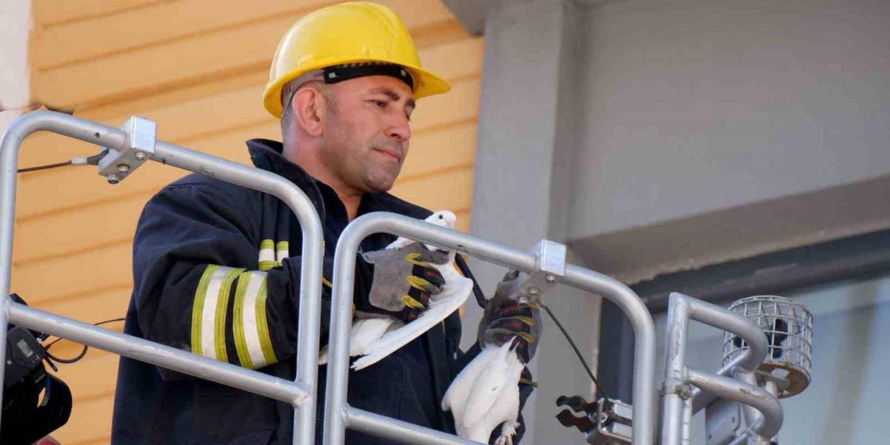 Erzurum’da İtfaiyecilerin Güvercin Operasyonu