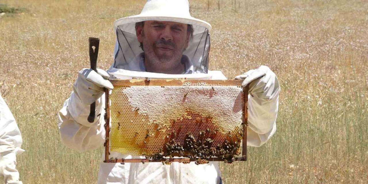 Endemik Bitkili Zengin Florada Üretilen Yayla Balı Sağıldı