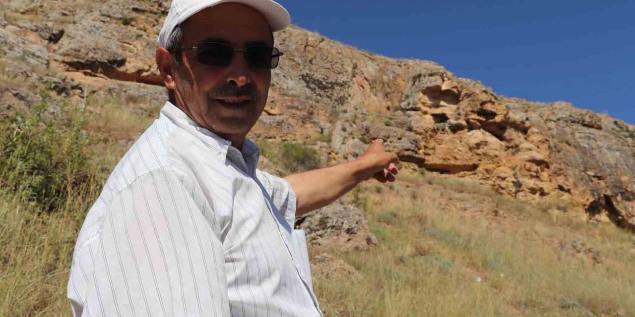 10 Yıl Sonra Kendilerini Gösterdiler, Sivas’ta Kara Leylek Ailesi Görüntülendi