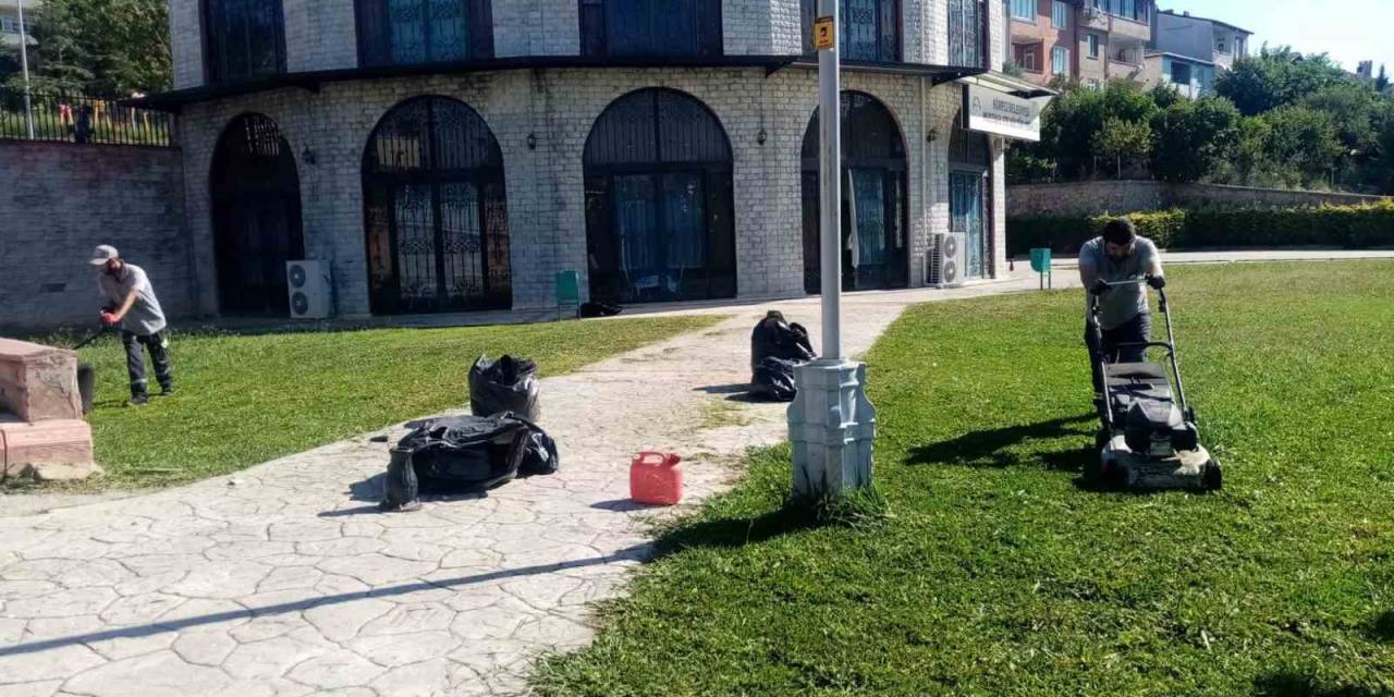 Körfez’de Ot Temizliği