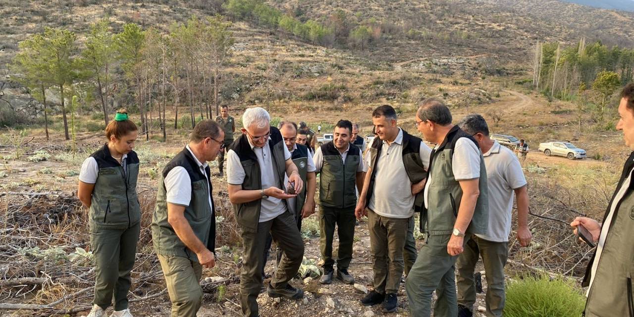 Orman Genel Müdürü Karacabey: "ciğerlerimiz Yanmasın Diye Lütfen Azami Dikkat Edelim"