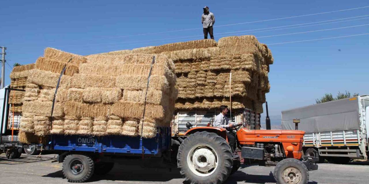 Çanakkale’de 142 Çiftçinin Etkilendiği Orman Yangınının Yaraları Sarılmaya Başlandı