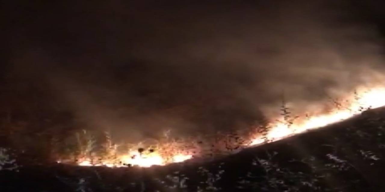 Tunceli’de Korkutan Yangın