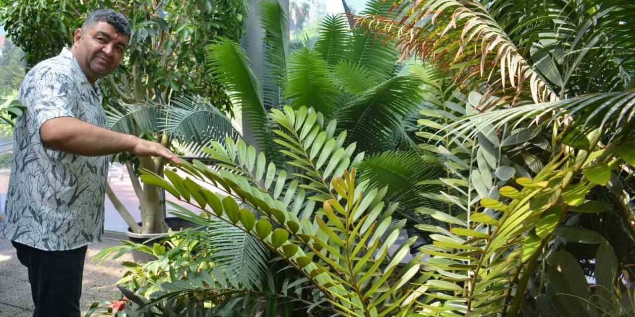 Eü, 3 Bine Yakın Endemik Bitki Türüne Ev Sahipliği Yapıyor