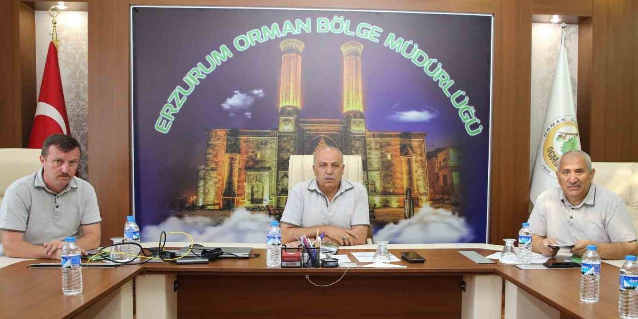 Ormancılık Masaya Yatırıldı