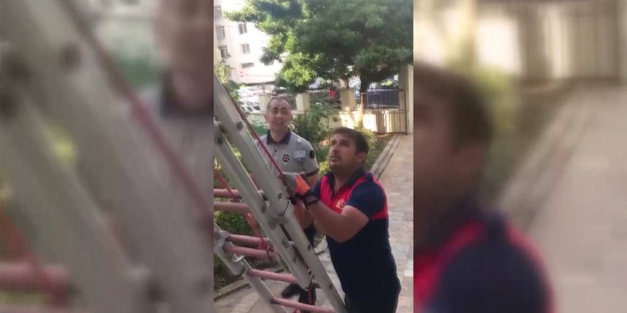 Yuvasından Düşen Yavru Kuş, İtfaiye Ekiplerince Kurtarıldı