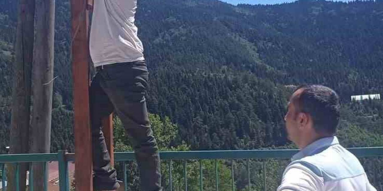 Kastamonu’da İlçe Merkezine İnen Ayılar Kamerayla İzlenecek