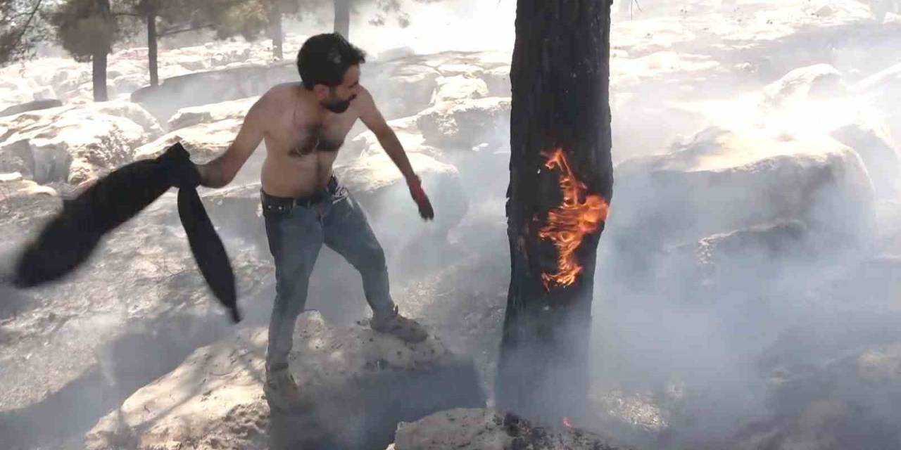 Alev Alev Yanan Ağacı Tişörtüyle Söndürdü