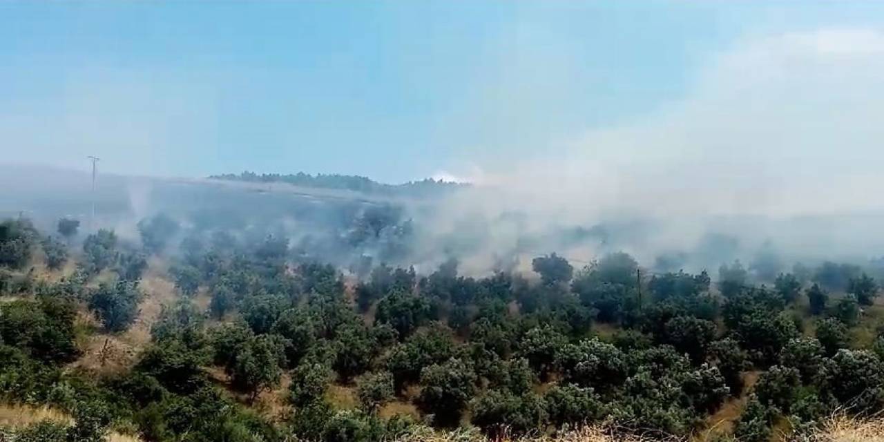 İznik’te Makilik Alanda Çıkan Yangın Söndürüldü
