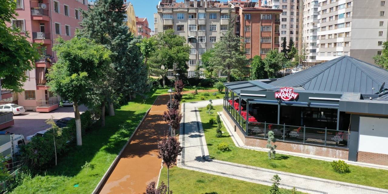 Kafe Karatayların Sayısı Artıyor