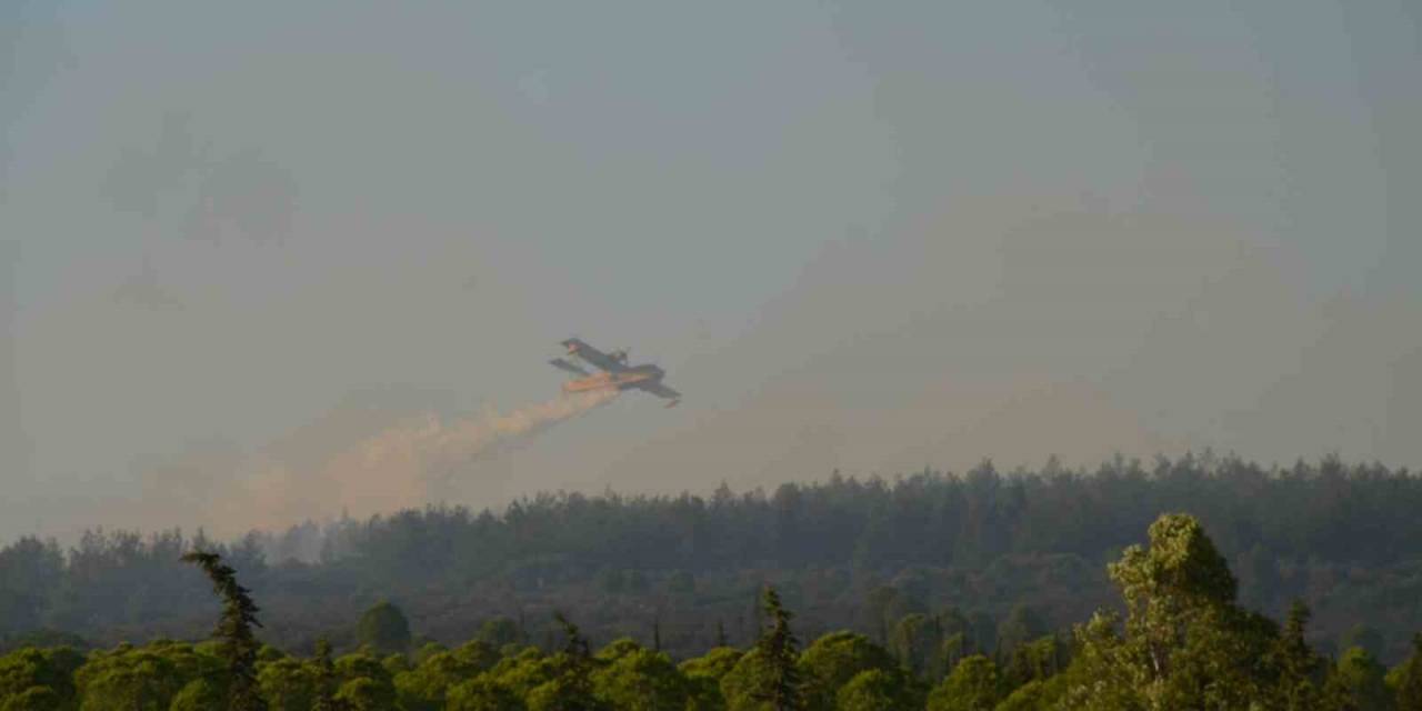 Didim’deki Yangın 4,5 Saat Sonra Kontrol Altına Alındı