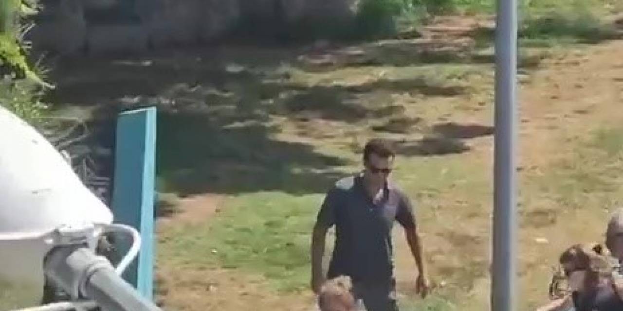 Kadıköy’de Tasmasız Köpek Dehşeti