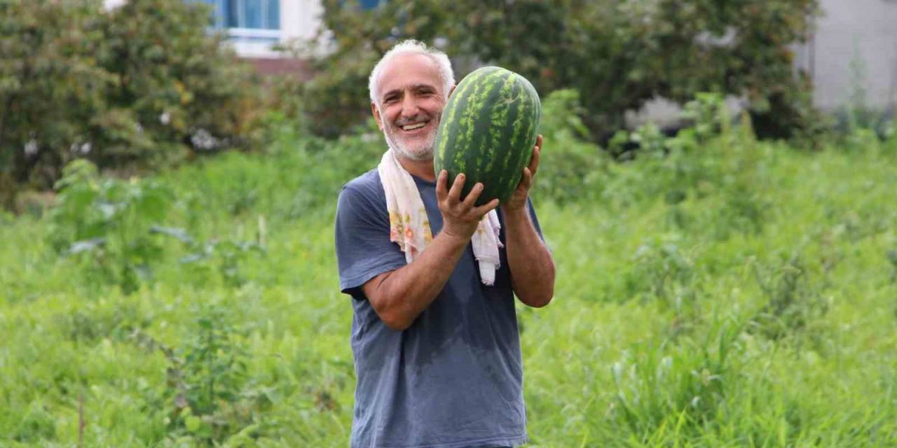 Yalıncak Karpuzu Tehlike Altında