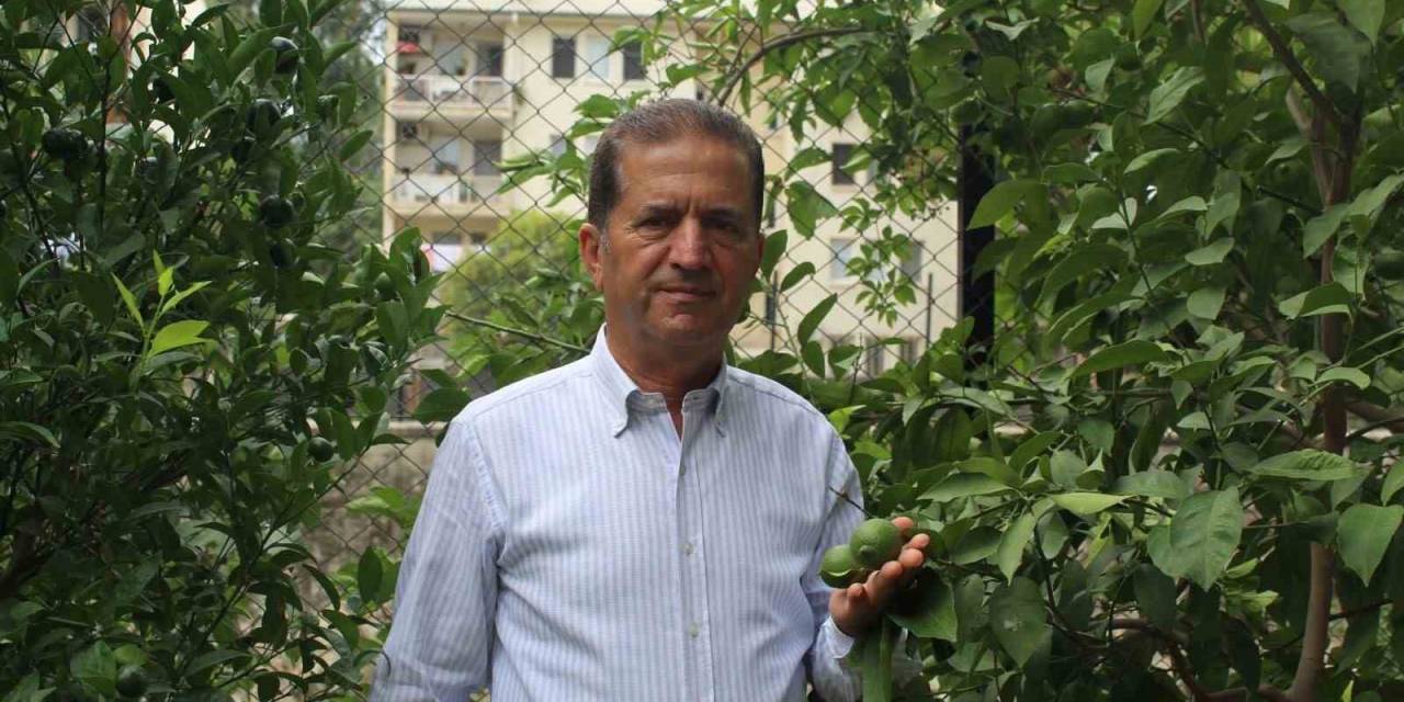 Doğan: “dfif Tüm Narenciye Ürünleri İçin Verilmeli”